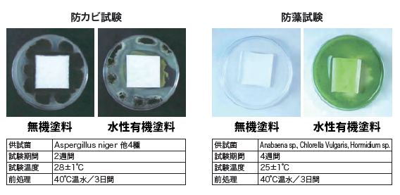 防カビ・防藻試験